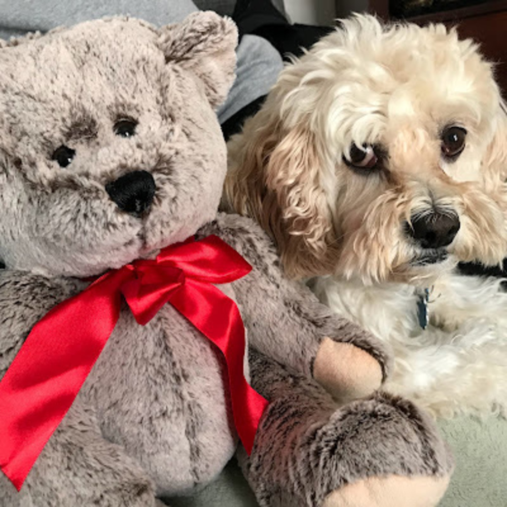 Meet your Posher, Yvonne